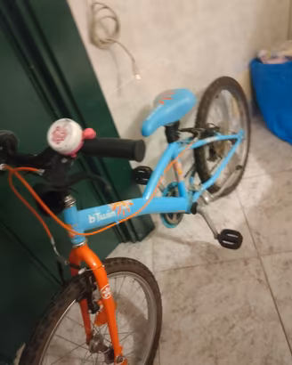 bicicletta 