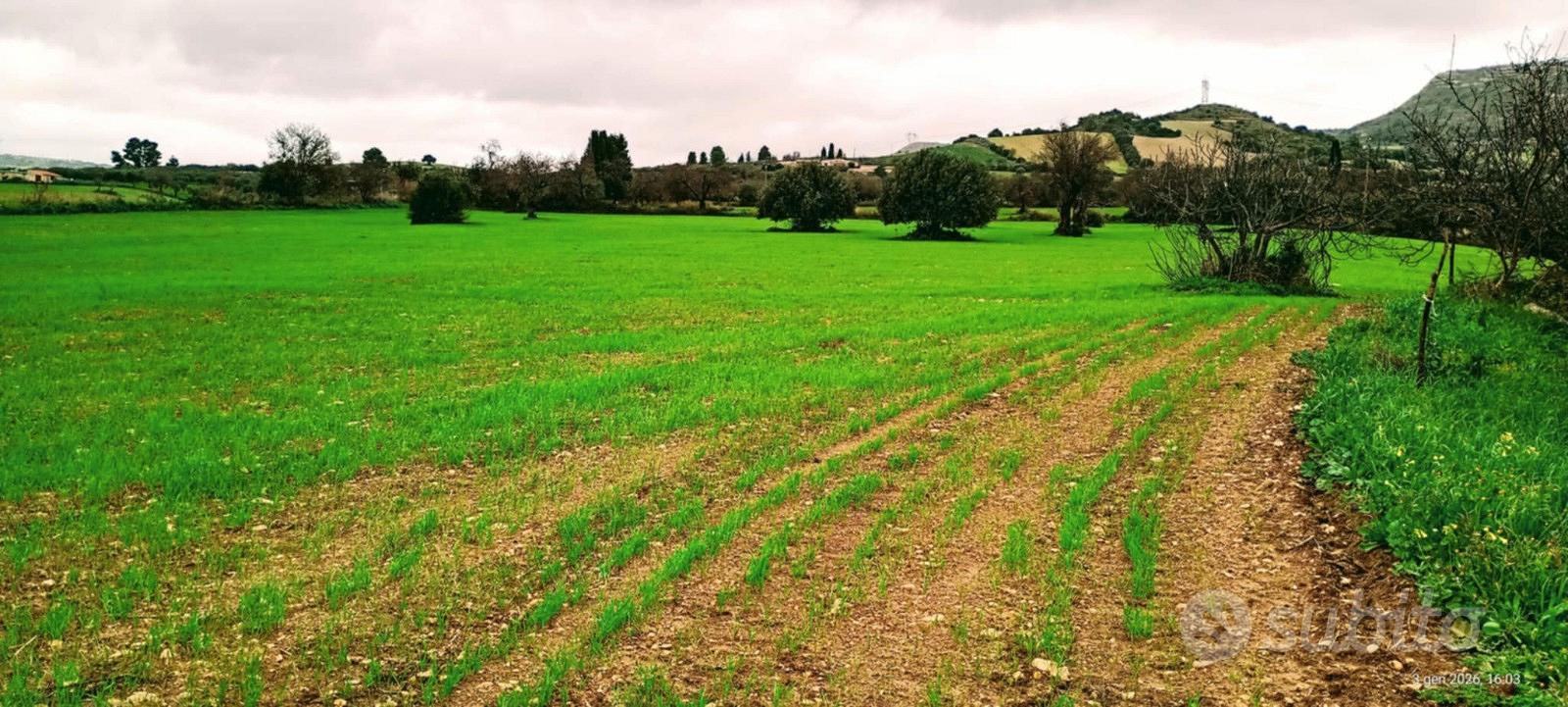 Terreno panoramico unico con casale rustico - Vista 3