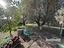 Immagine 19
