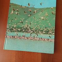 Enciclopedia degli animali