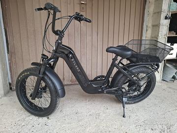 Bicicletta con pedalata assistita