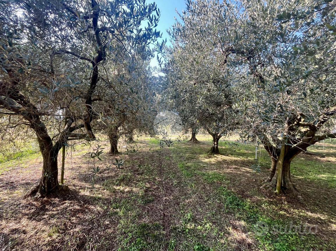 TER. AGRICOLO A RIVOLI VERONESE - Vista 2