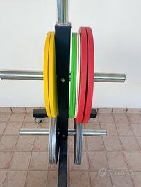 Dischi Palestra sottili