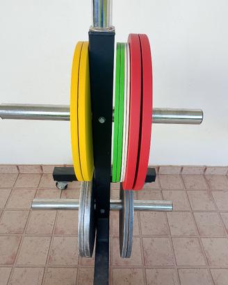 Dischi Palestra sottili