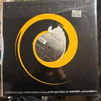 Vinili Dischi mix 12” single maxi e LP album lista