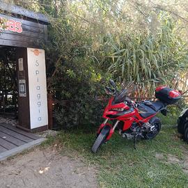 multistrada 1200 s