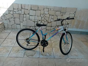 Bicicletta