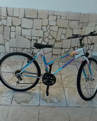 Bicicletta