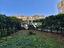 Immagine 20