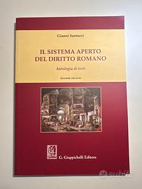 Il Sistema Aperto del Diritto Romano, G. Santucci