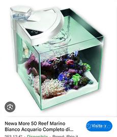 Newa More 50 Reef Marino Bianco Acquario Completo