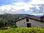 Immagine 22