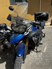 Tiger 800 ABS solo con Harley-Davidson