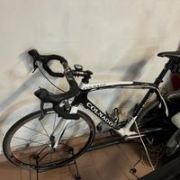 Colnago