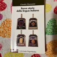 Breve storia della lingua italiana