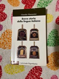 Breve storia della lingua italiana