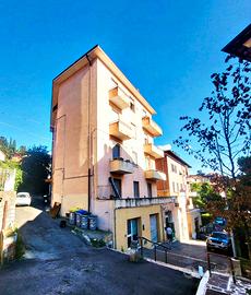 Ampio appartamento con terrazzo e giardino PR/123