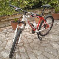 bici mountain-bike in alluminio marca atala