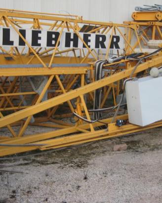 LIEBHERR 30LC-anno h24 braccio35 A TORRE