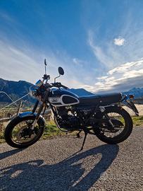 Mash Seventy Five 125