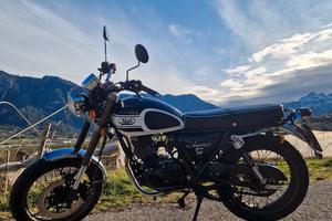 Mash Seventy Five 125