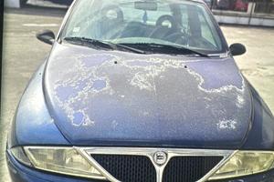 Lancia Y Elefantino blu