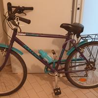 Bicicletta Raleigh