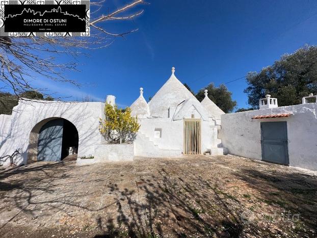 TRULLO DEI MANDORLI con TERRENO 8200mq - VALLE D'