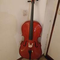 violoncello studio 1/4