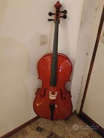 violoncello studio 1/4