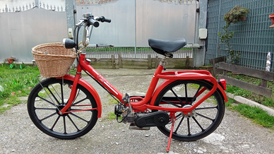 Bike Lem Bicimoto ☆LEM☆electric Bicycle/electric Scooter Model