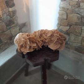 Meravigliosa rosa del deserto 