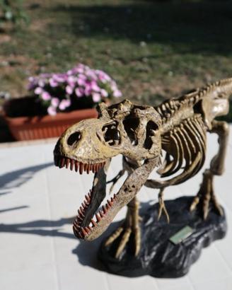 dinosauro scheletro trex