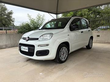 FIAT Panda 1.2 Easy EURO 6 5 POSTI OK NEOPATENTA