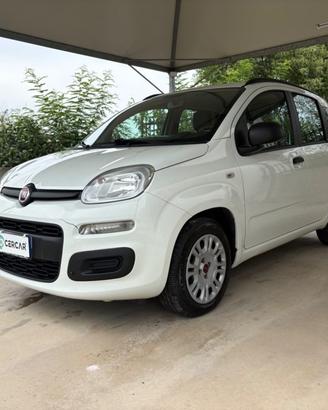 FIAT Panda 1.2 Easy EURO 6 5 POSTI OK NEOPATENTA