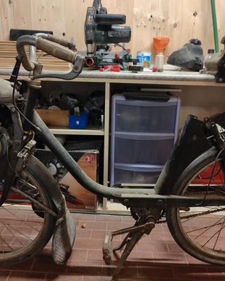 velosolex 