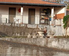 Toeletta pensione ed associazione per cani