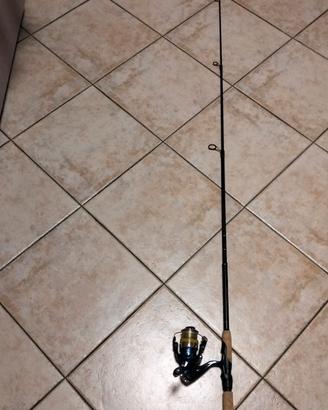 canna spinning shimano