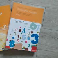 l' intelligenza numerica libro 