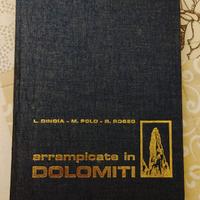 Arrampicate in Dolomiti
