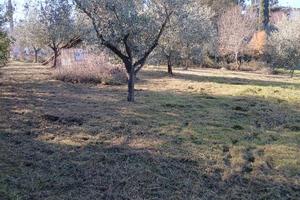 Castelnuovo della misericordia terreno agricolo /o