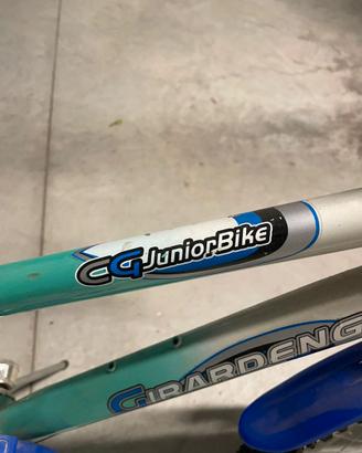 Bici bambino