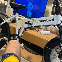 Bicicletta elettrica