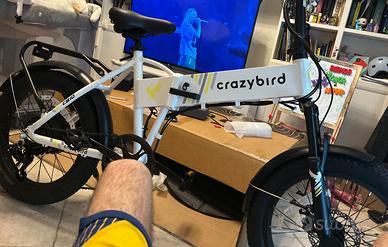 Bicicletta elettrica