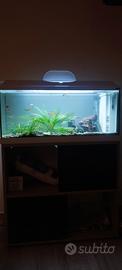  acquario 80 litri  zolux tenuto bene 
