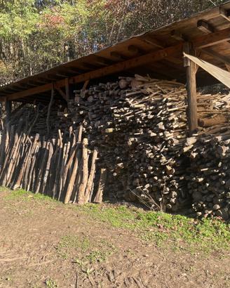 Legna in tronchi