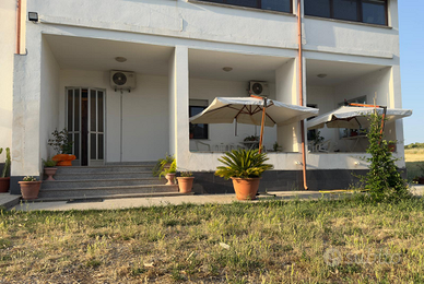 Il giardino del sole