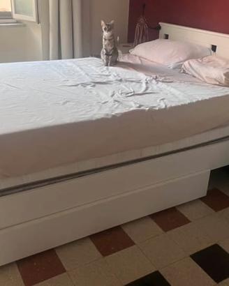 SONGESAND Struttura letto bianca con 2 contenitori