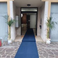 Corsia tappeto blu
