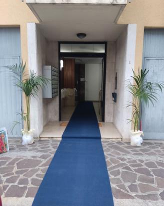 Corsia tappeto blu